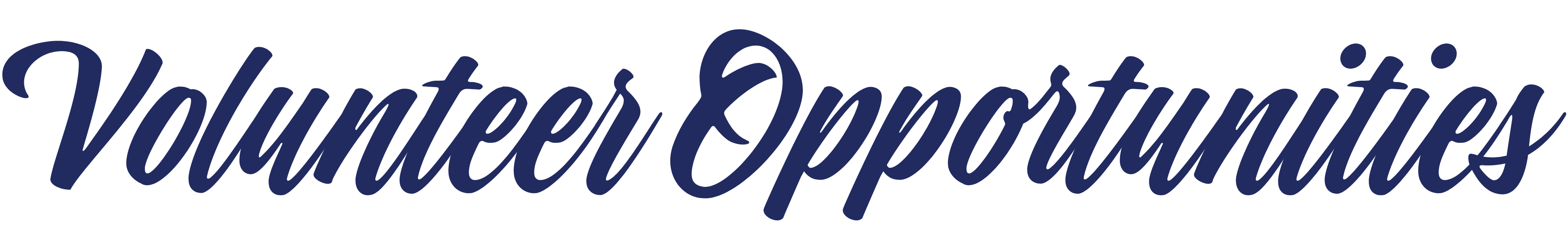 Volunteer Opportunities